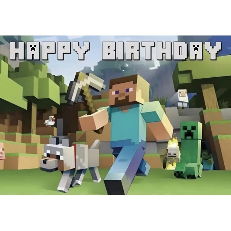 Винил Minecraft